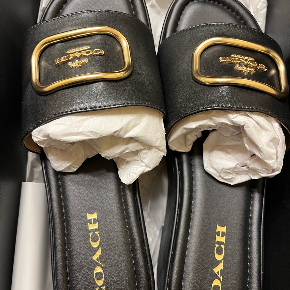 Coach Black Slides with Gold Buckle